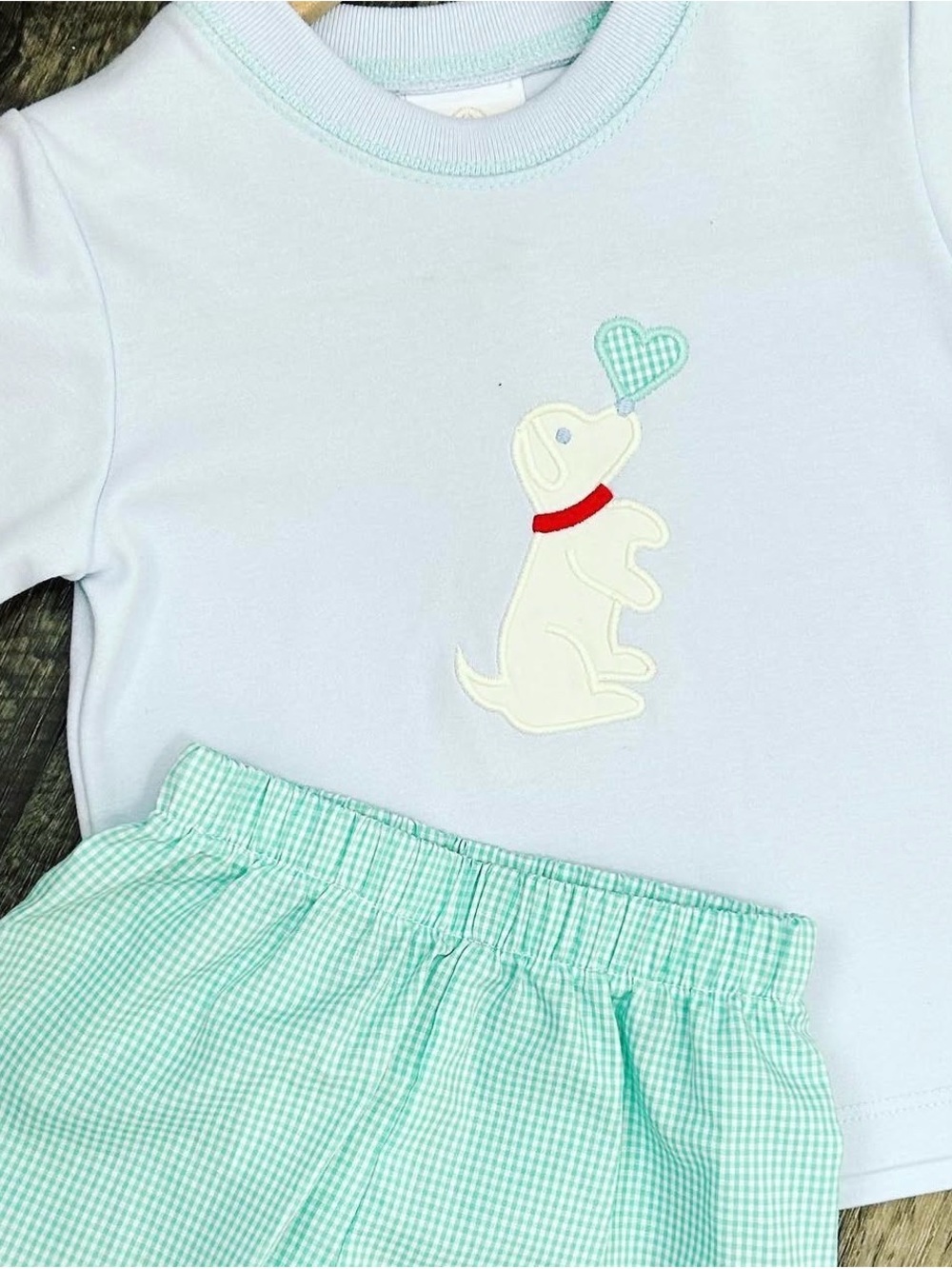 Mint Gingham Pants & Light Blue Puppy Appliqué
